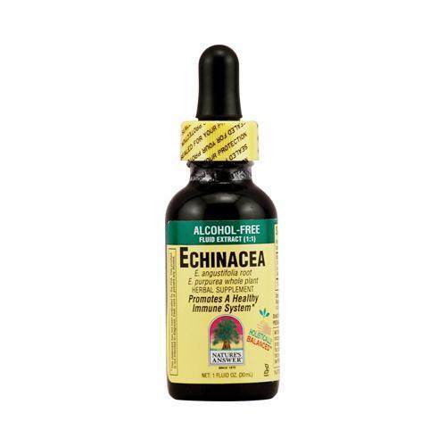 Nature's Answer Echinacea (1x1 fl Oz)