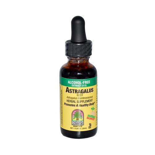 Nature's Answer Astragalus Root (Alcohol Free 1 fl Oz)