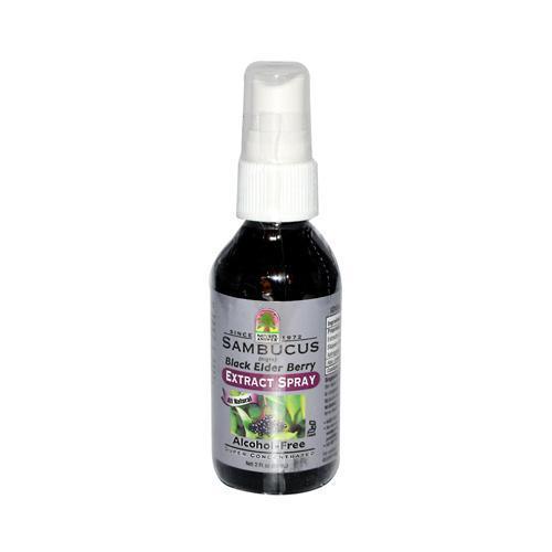 Nature's Answer Alcohol Free Sambucus Extract Spray (1x2 Oz)