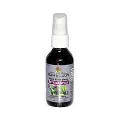 Nature's Answer Alcohol Free Sambucus Extract Spray (1x2 Oz)